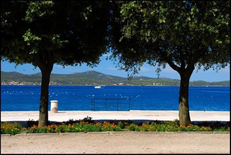 Guest Accommodation Neno Zadar Ngoại thất bức ảnh