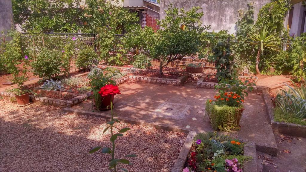 Guest Accommodation Neno Zadar Ngoại thất bức ảnh