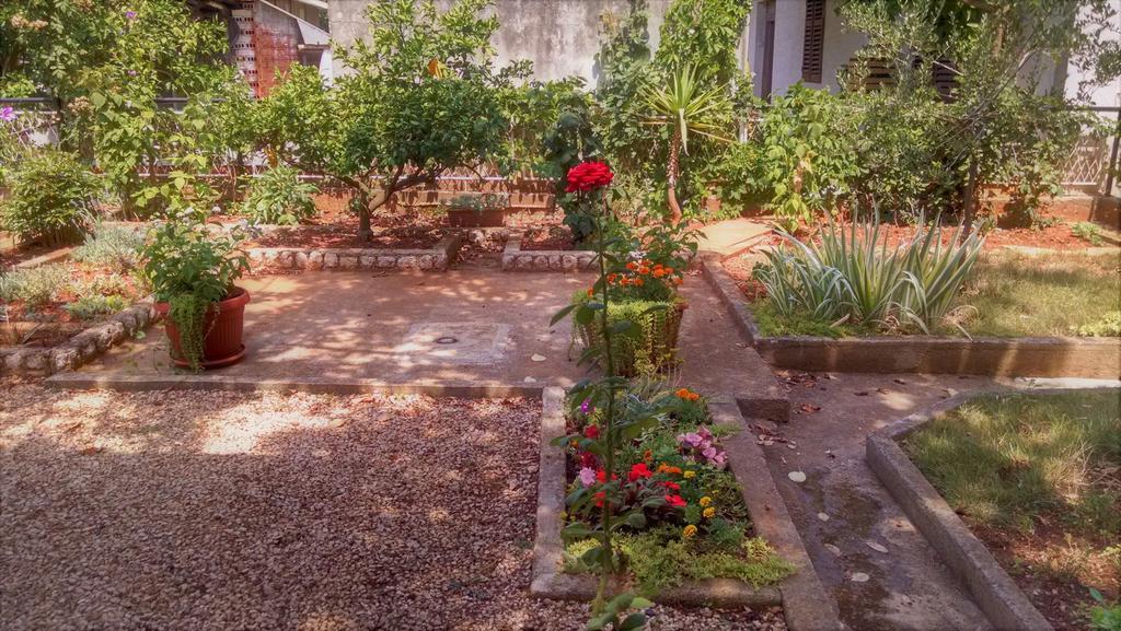 Guest Accommodation Neno Zadar Ngoại thất bức ảnh